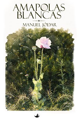 Amapolas blancas